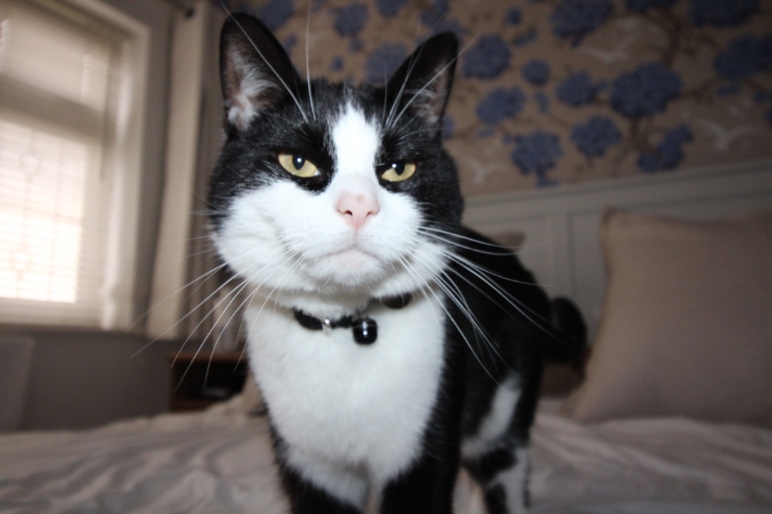 UNADJUSTEDNONRAW_thumb_6fcf